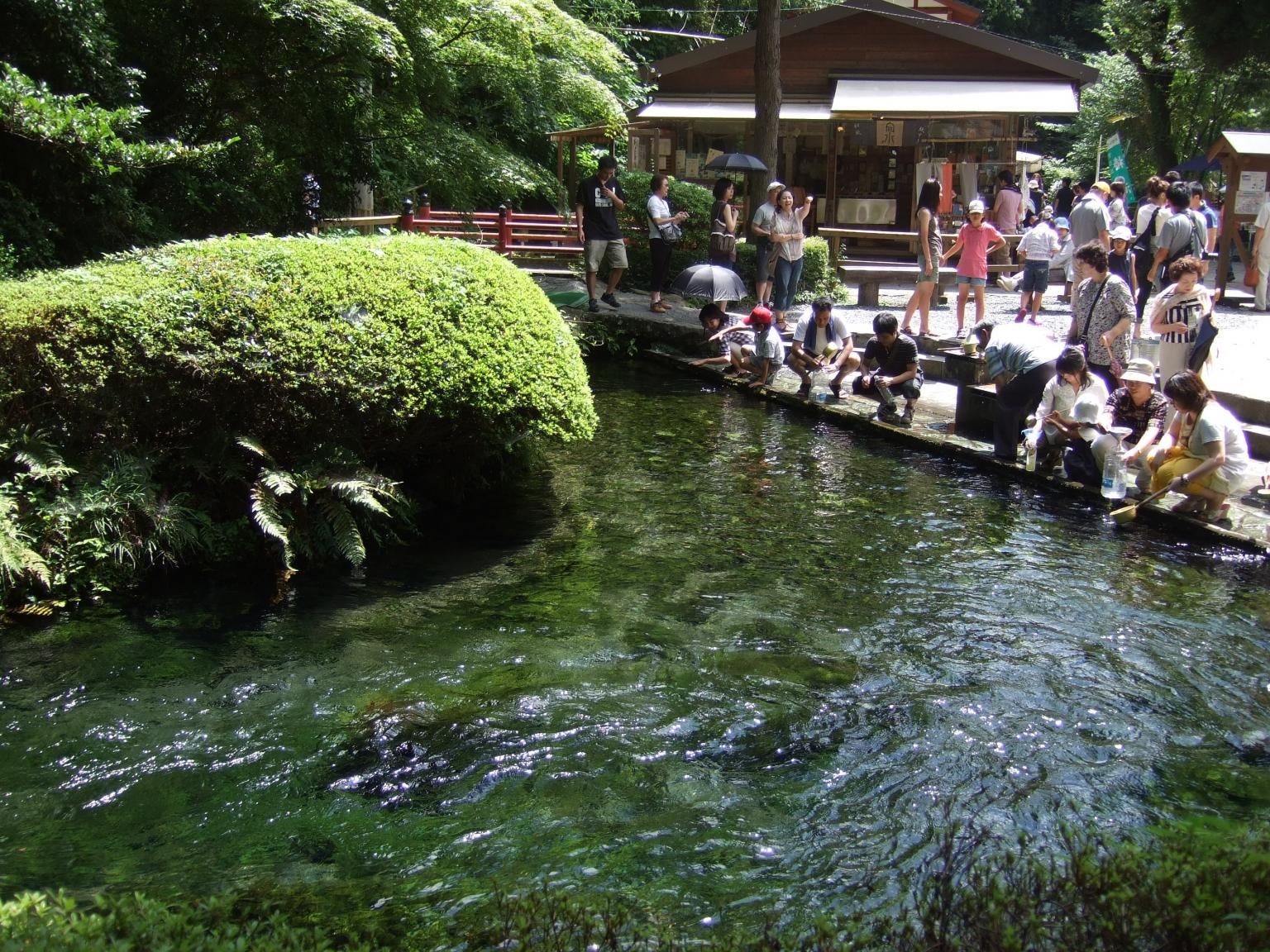 💧 시라카와 수원(시라카와스이겐) 이미지 5